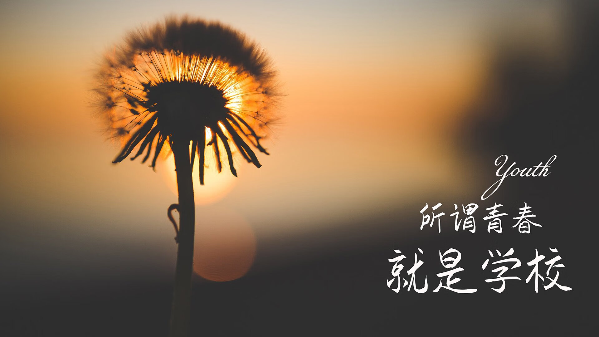 爱游戏-中国女足新星崭露头角，未来可期，中国女足新星崭露头角,未来可期是谁