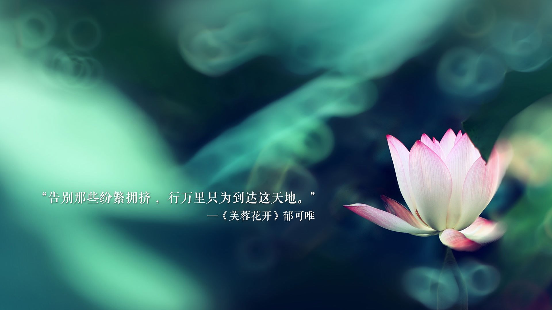 墨西哥队主帅强调体能和速度训练，墨西哥队员