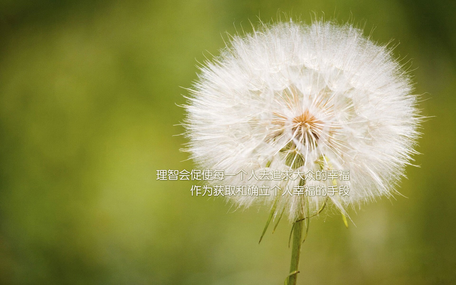 沃特福德客场不敌，降级危机挥手，沃特福德联足球俱乐部