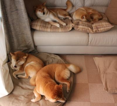 球星联名潮流篮球与时尚融合,球星联名的球鞋的牌子的图片