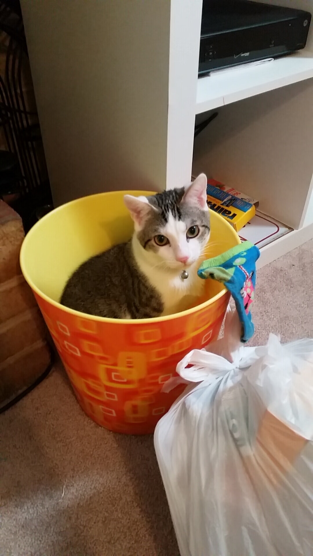 爱游戏中国官方登录入口网站-乌干达女篮在非洲锦标赛中持续突破，体育产业焕发新生机，非洲国家乌干达