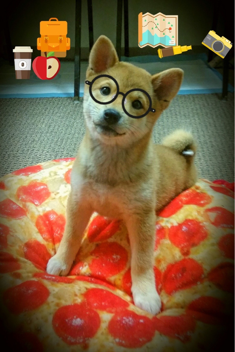 乌干达女篮在非洲锦标赛中持续突破，体育产业焕发新生机，非洲国家乌干达