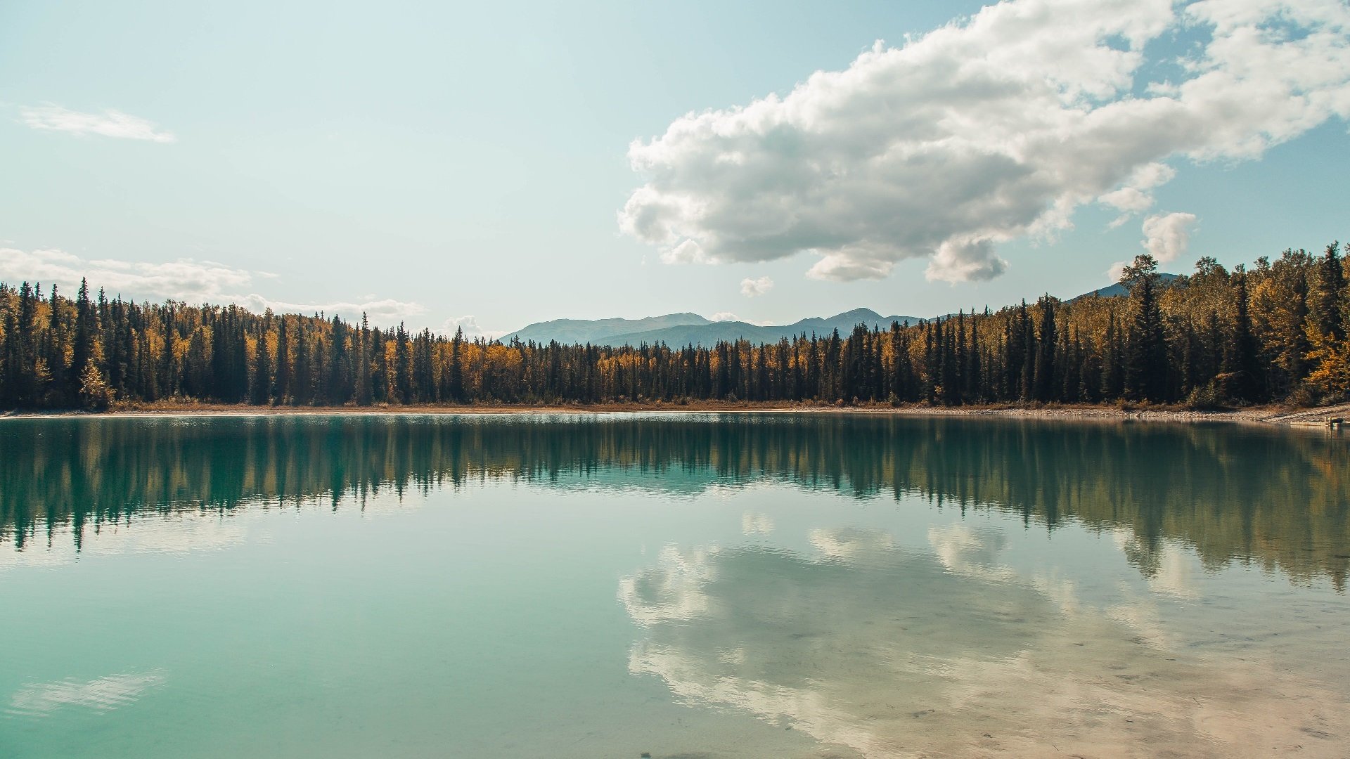 体育文化节活动丰富助力全民健身，体育文化节活动简报