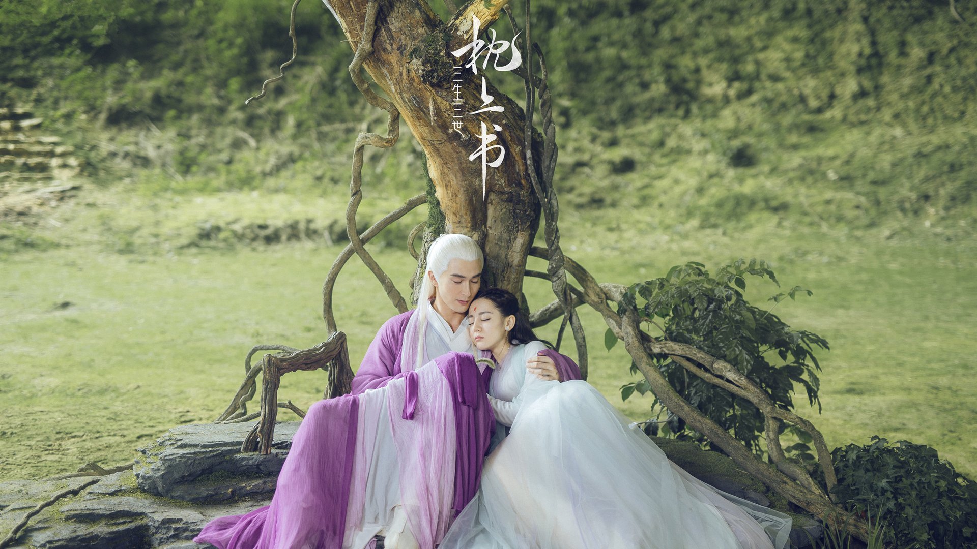 体育科技企业携手打造智能足球场，实现全场监控与管理，足球场监控方案