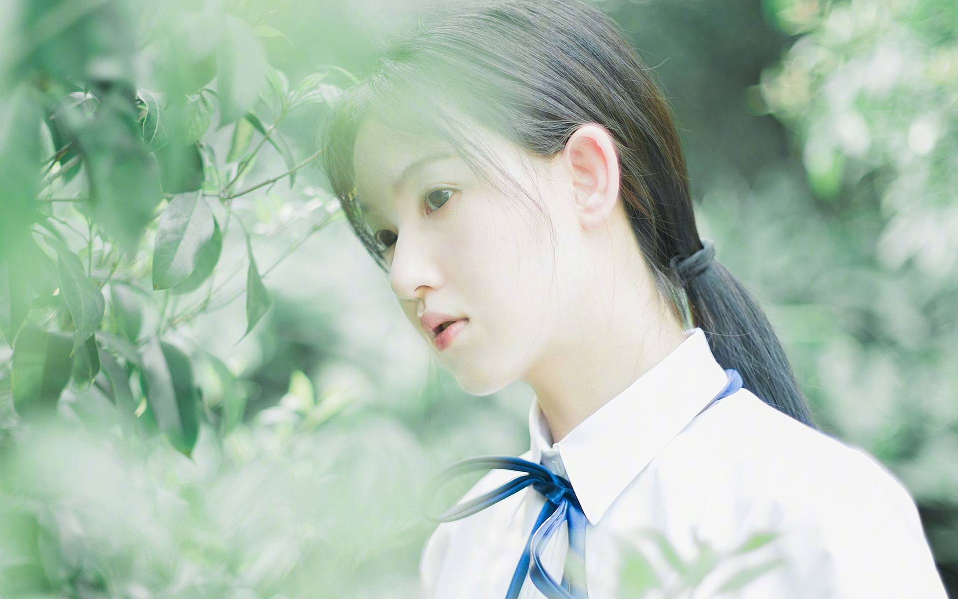 AYX GAME-国王阵容深度成西部黑马，国王队打法