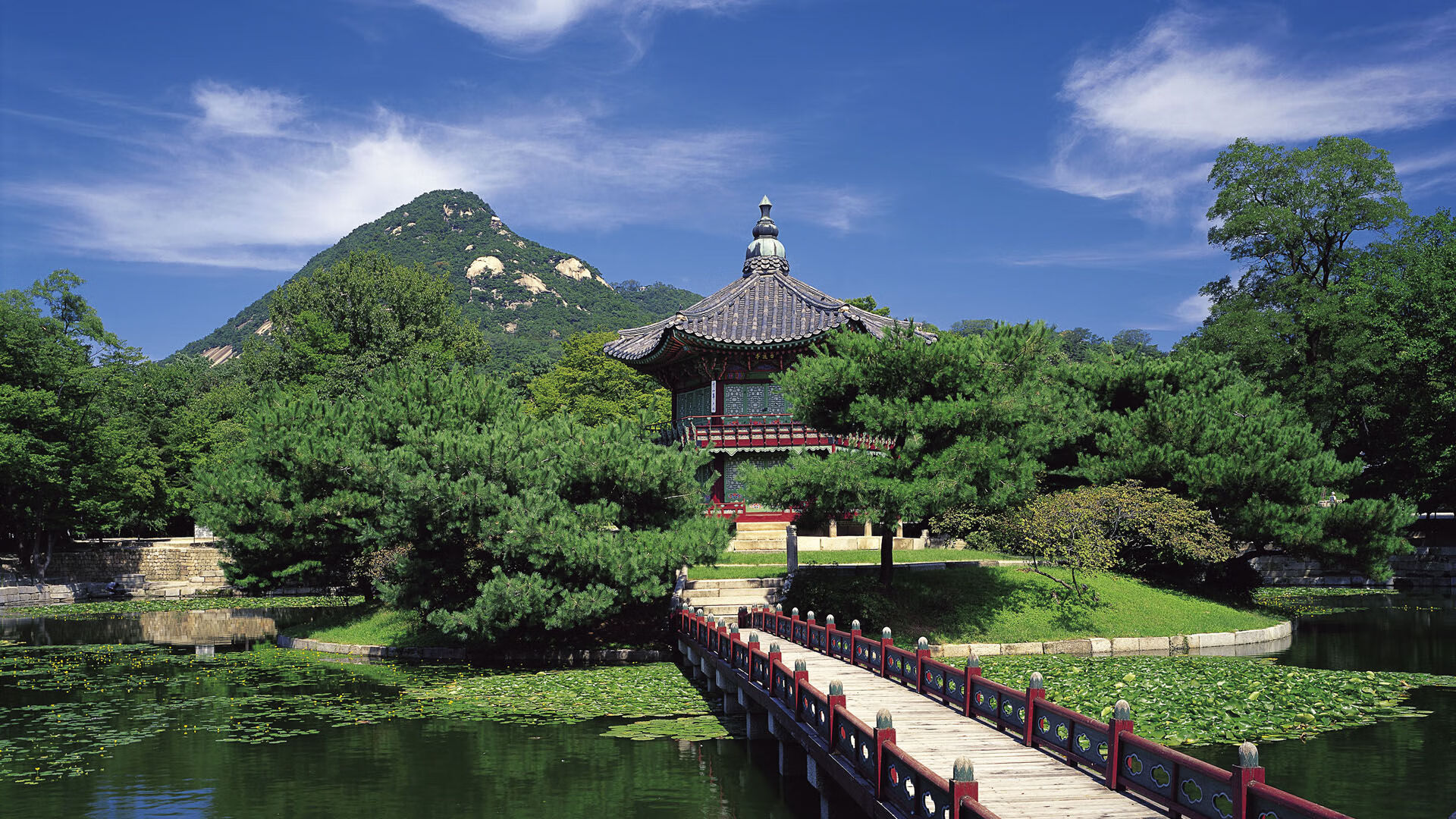 国王阵容深度成西部黑马,国王队打法