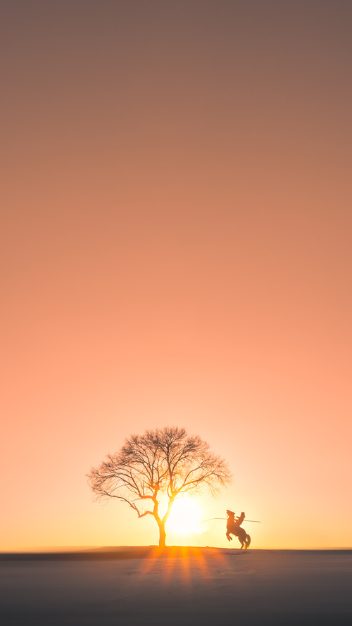 国家队制定中长期发展规划设定阶段性目标指标，国家中长期发展规划纲要提出时间是