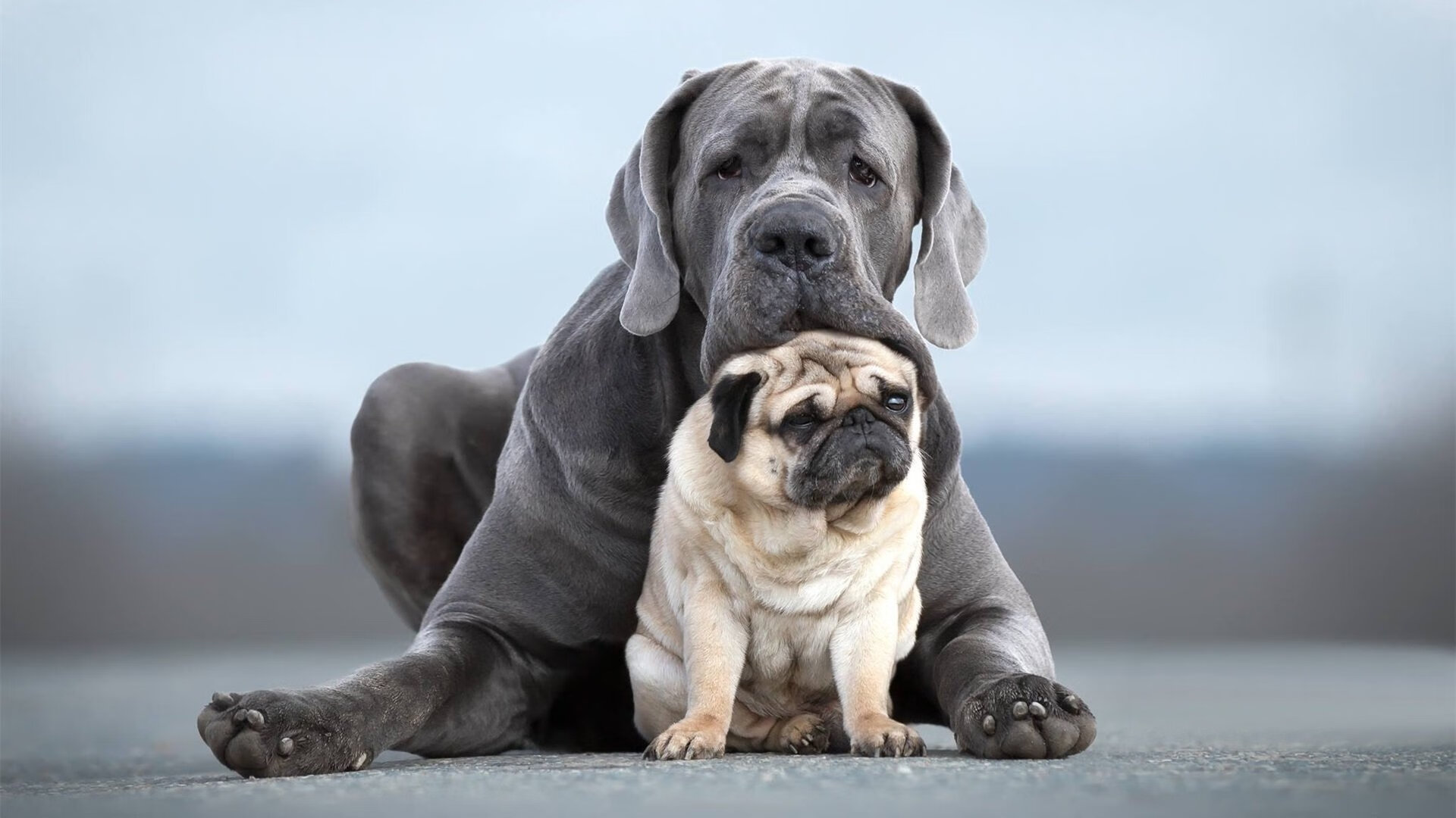 爱游戏中国官方网站平台-基于云计算的足球数据分析平台正式上线，提升比赛解读深度，足球大数据分析系统