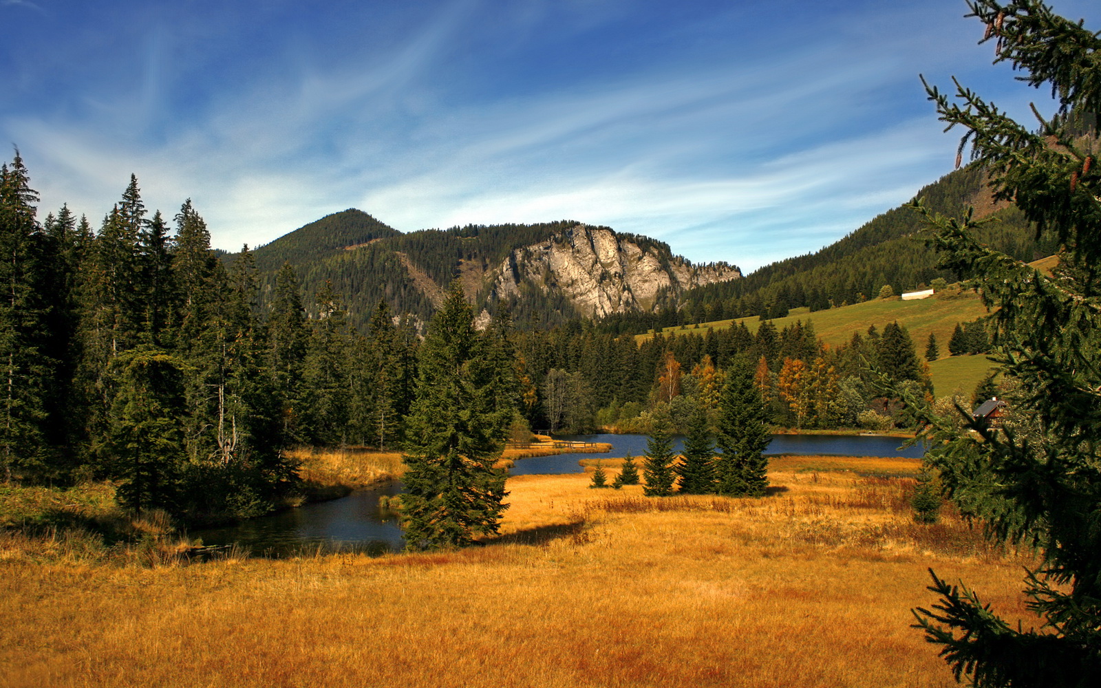爱游戏综合娱乐-希腊女篮在欧洲锦标赛中坚持到底，荣耀不停步，希腊 欧锦赛