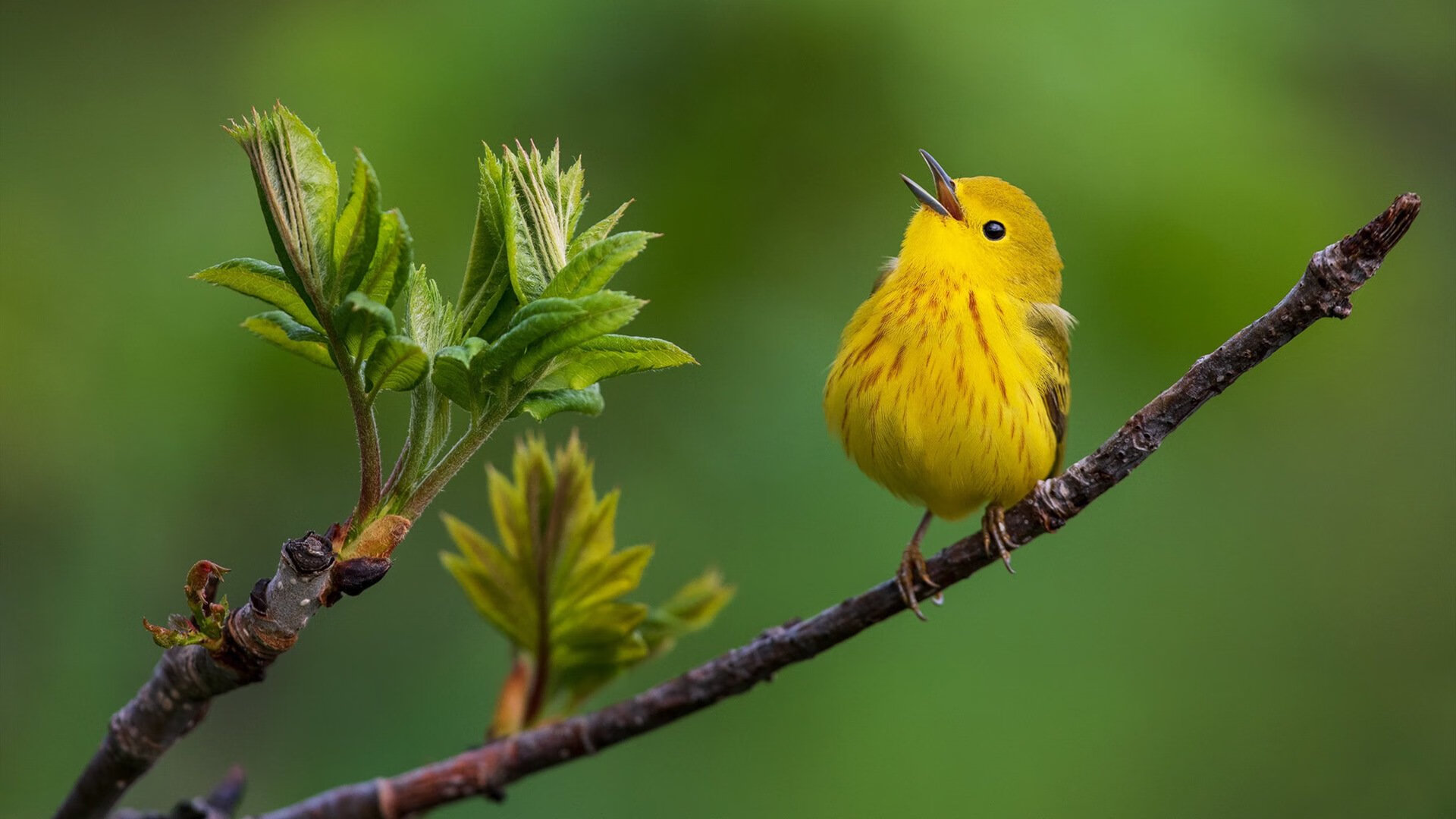 朱婷与小球员合影鼓励勇敢追梦,朱婷和队友互动