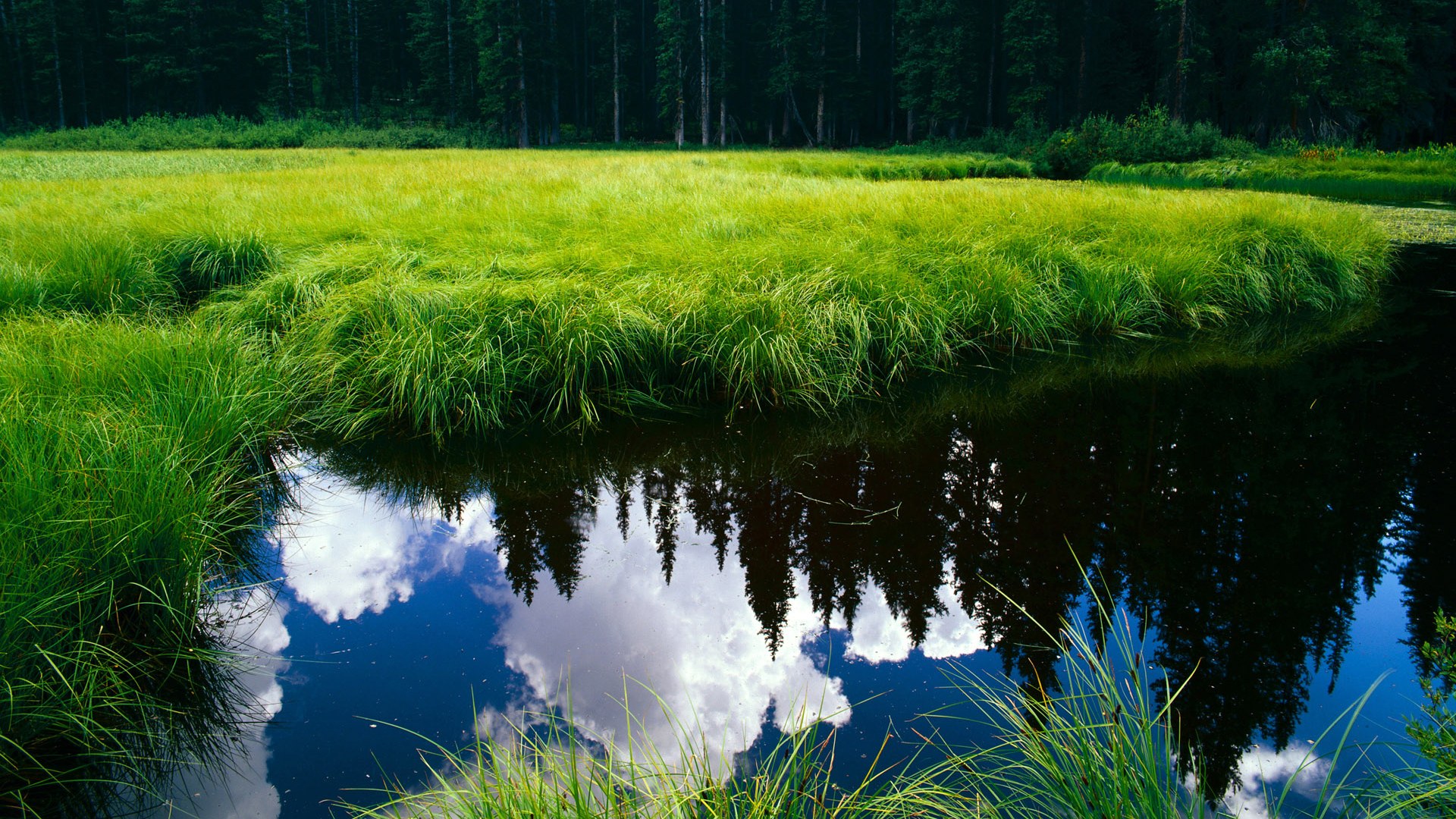 爱游戏app下载-混合4×100米自由泳中立代表队B赛况精彩，混合4×50米自由泳接力赛中国队夺冠