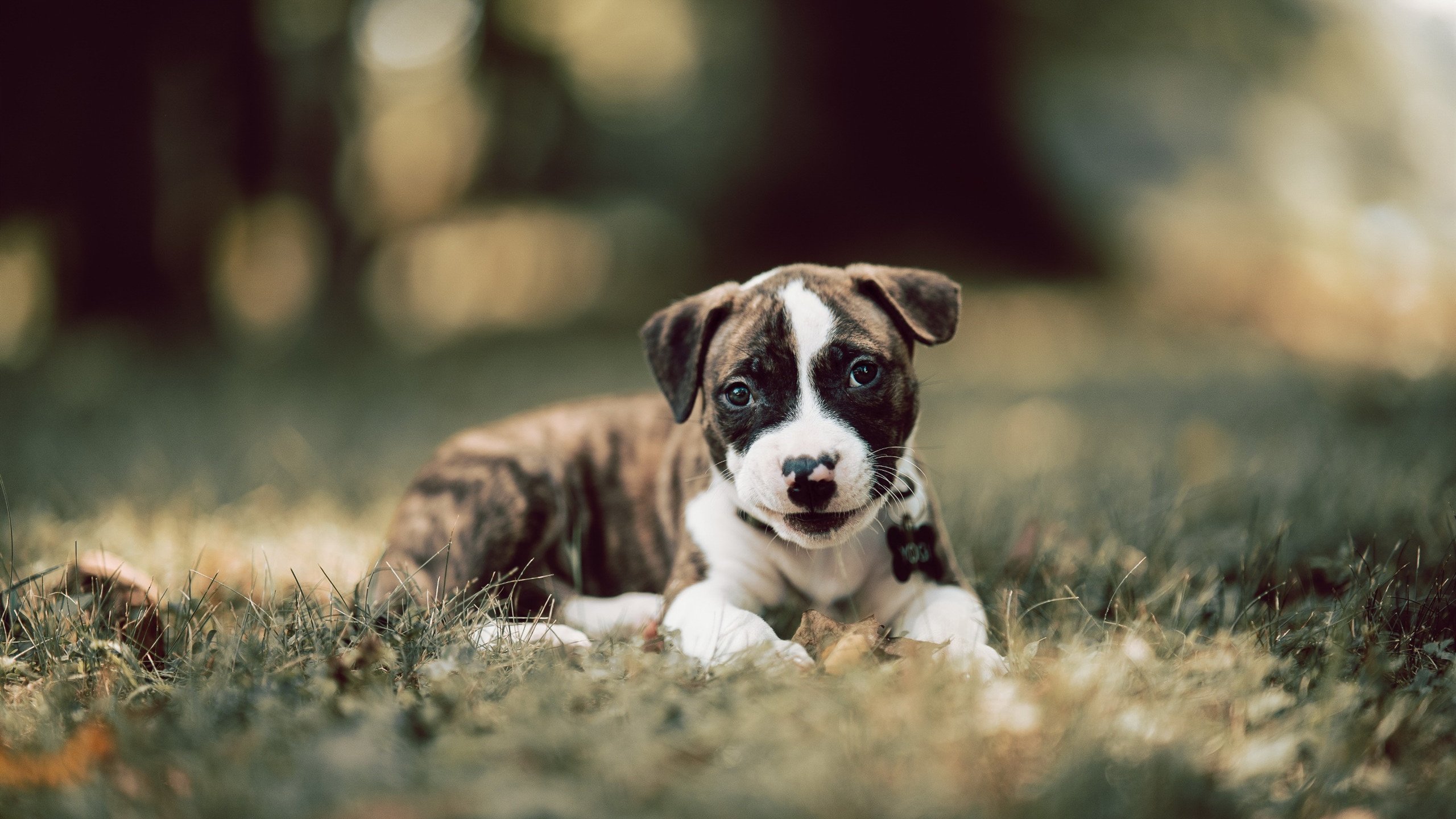 网球国家队进行海外拉练备战大赛,网球国际比赛