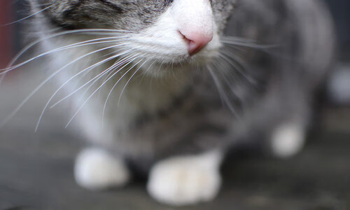 AYX官网-英超冲刺季：悬念不断，精彩不断！，英超集锦2021