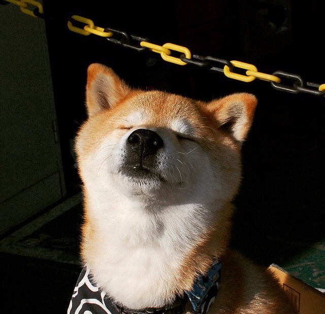 爱游戏 电竞-西甲 最佳瞬间：那一脚天外飞仙的精彩，西甲精彩集锦