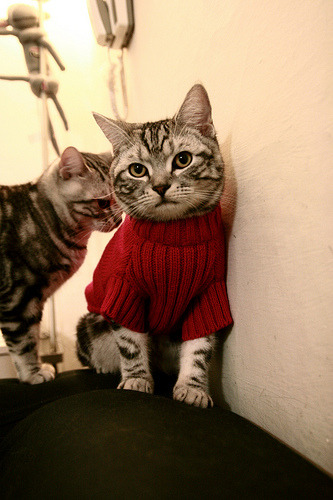 爱游戏官方网站-西班牙青年队在欧洲赛场表现优异，期待更多精彩