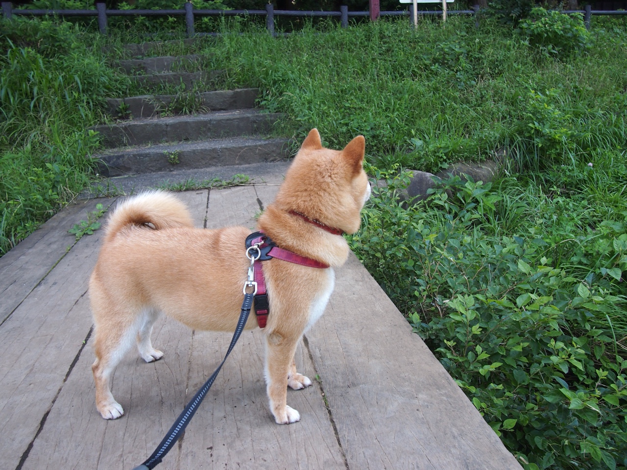 爱游戏app-西甲玄妙传球：精彩盘带，助攻不断！，西甲玄妙传球_精彩盘带,助攻不断进球