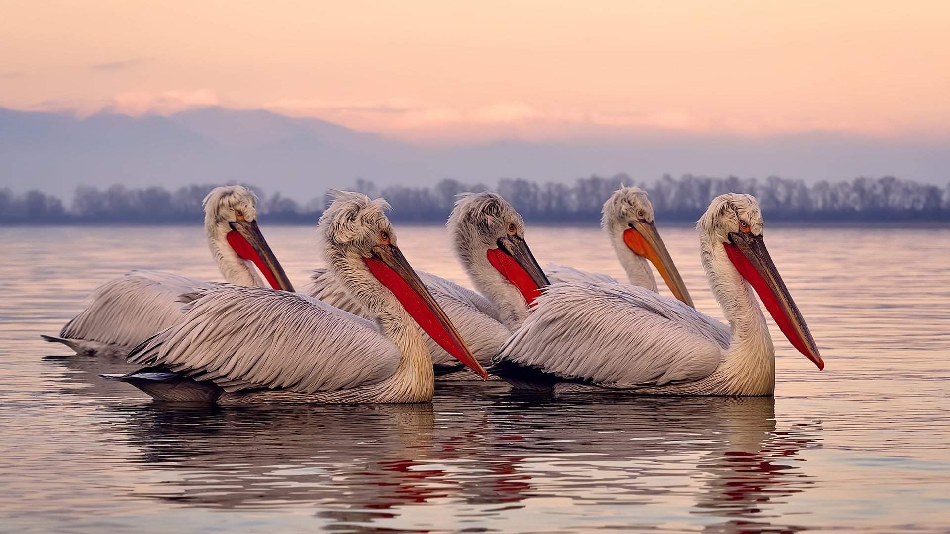 爱游戏体育app-青训营设置专项体能强化课程提升身体素质，青训训练