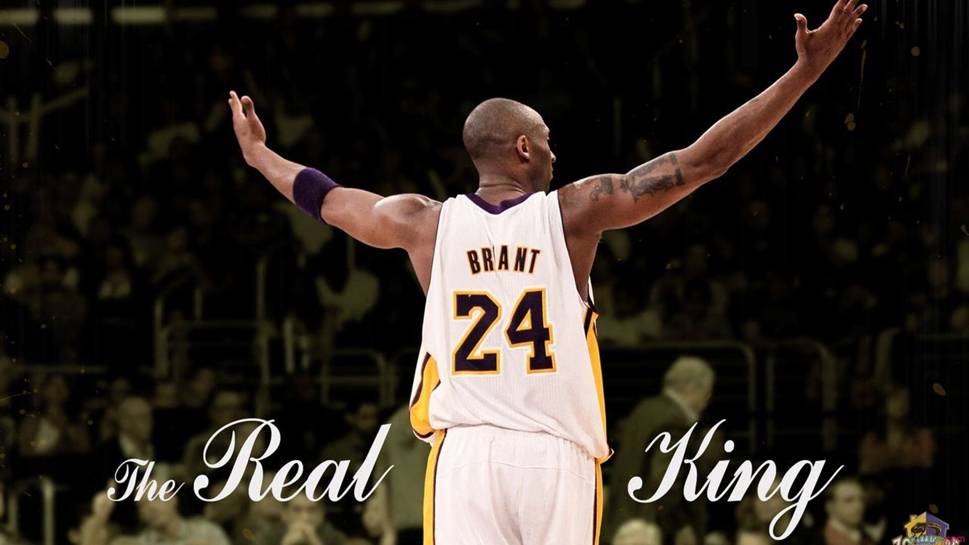 史上最年轻“冠军射手”崭露锋芒!,最年轻的s赛冠军