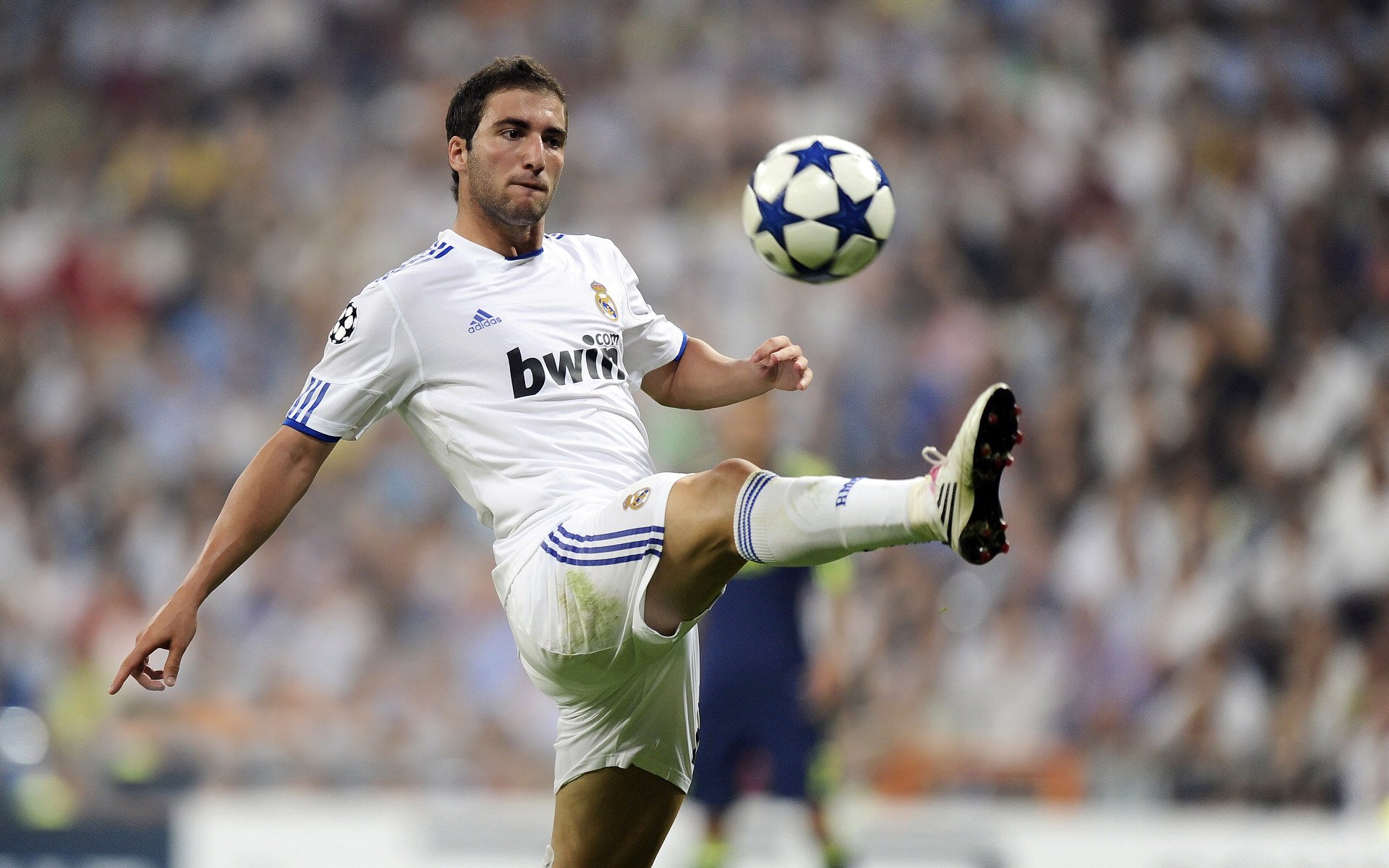 英超：布莱顿2-2平沃特福德，比赛充满悬念，英超布莱顿对埃弗顿